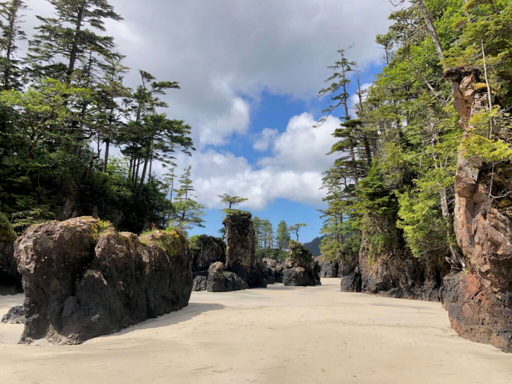 Beach San Josef Bay Vancouver Island North is a special place