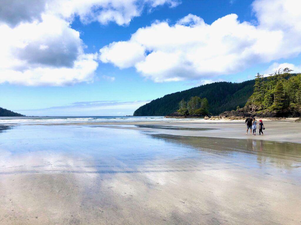 San Josef Bay north island beach